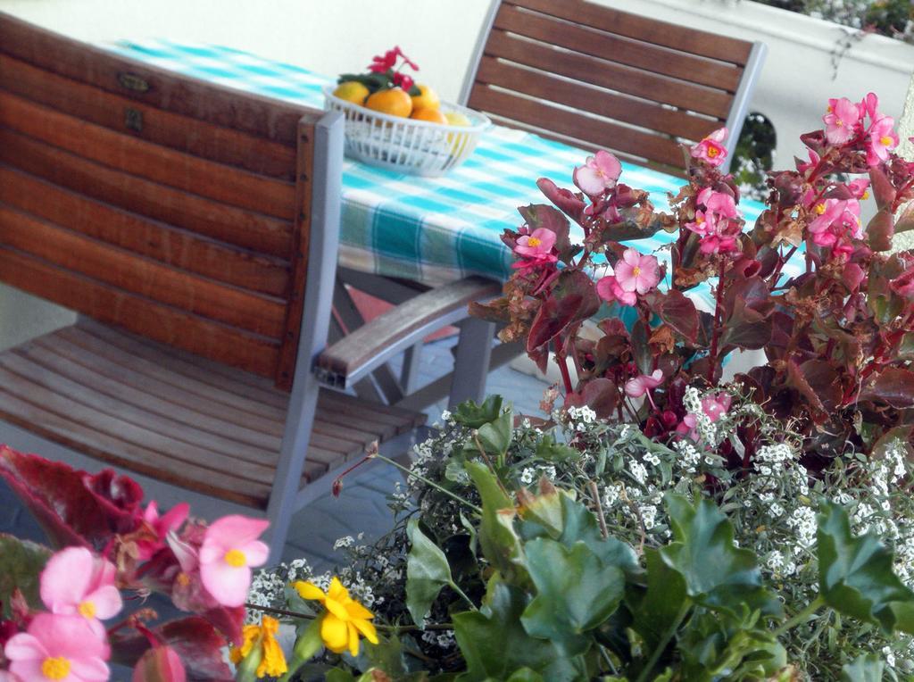 Apartmani Delfin Grebastica Exterior photo